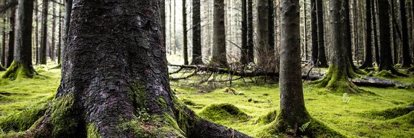 MonikaFoH Profile Banner