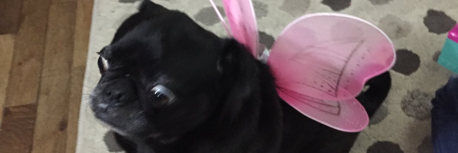 Kittykatmando7's profile banner image