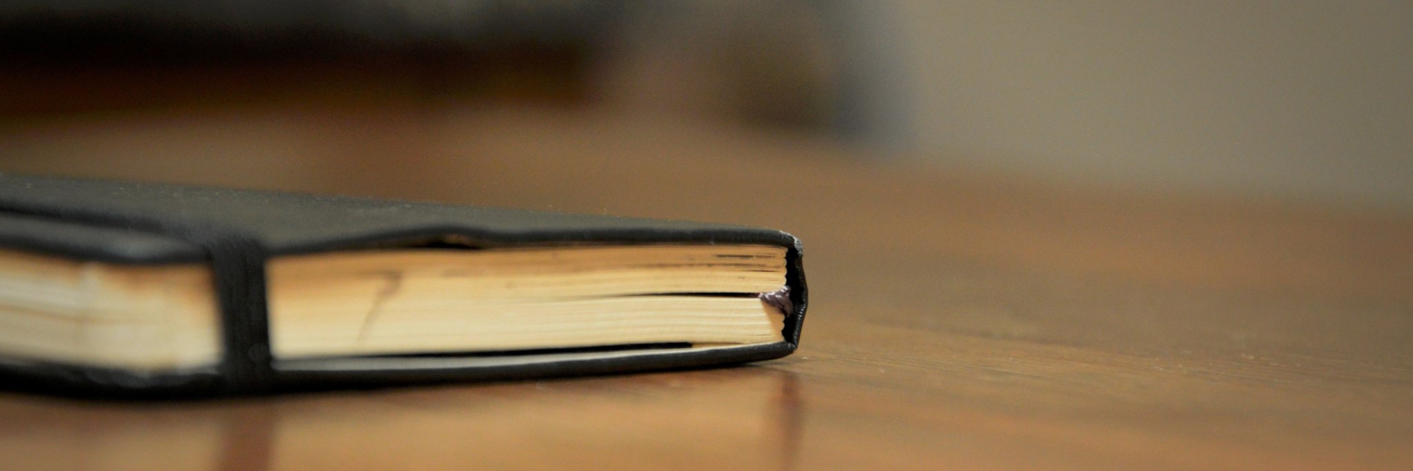 thistestuser's profile banner image