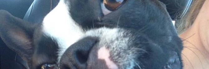 moors_m's profile banner image