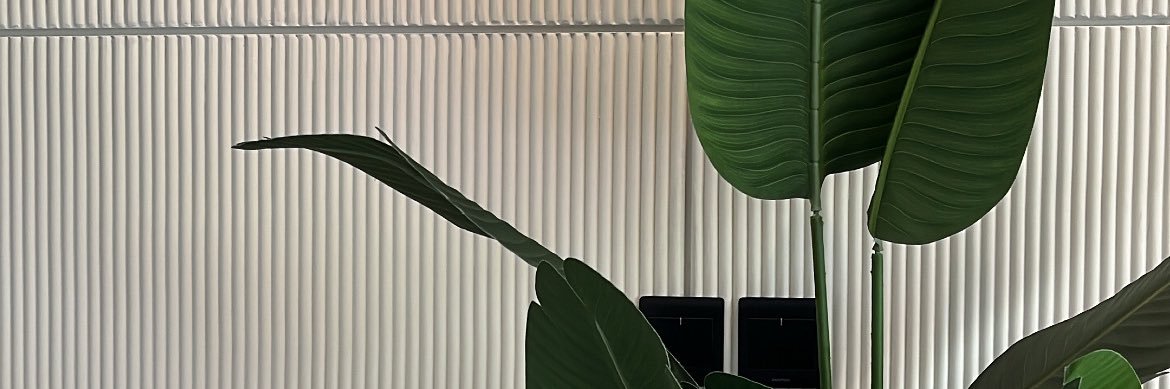 fifinkim's profile banner image