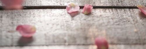 sekarLindraM's profile banner image