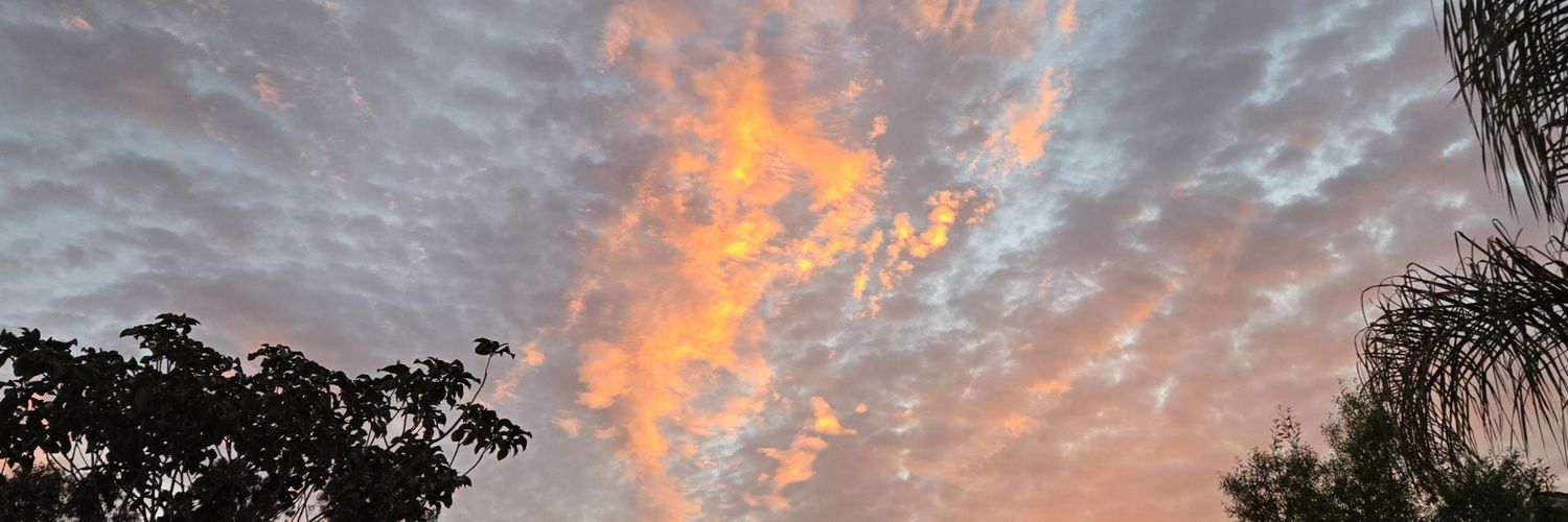 Mary b 🐦 🦋🤱 🦈🏒MiL⚾️🐘💀🏈🇺🇸🏳️‍🌈🐈☕ banner