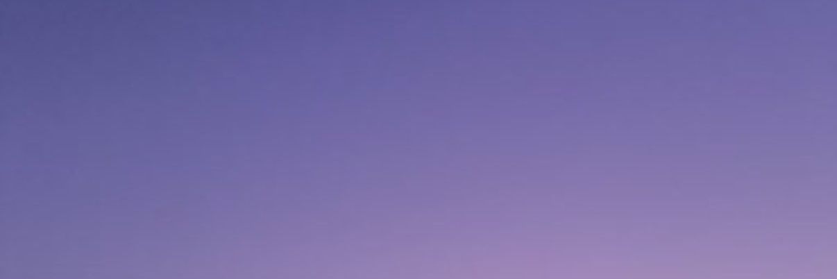 NUTTY44467098's profile banner image