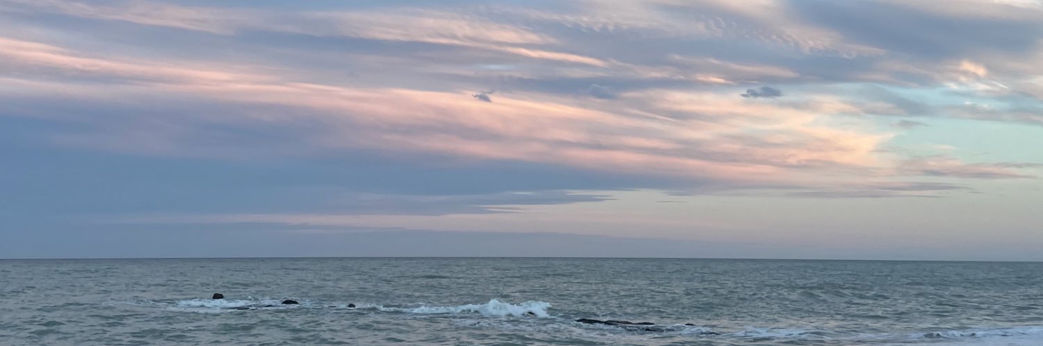 Ana Prior Arnau banner