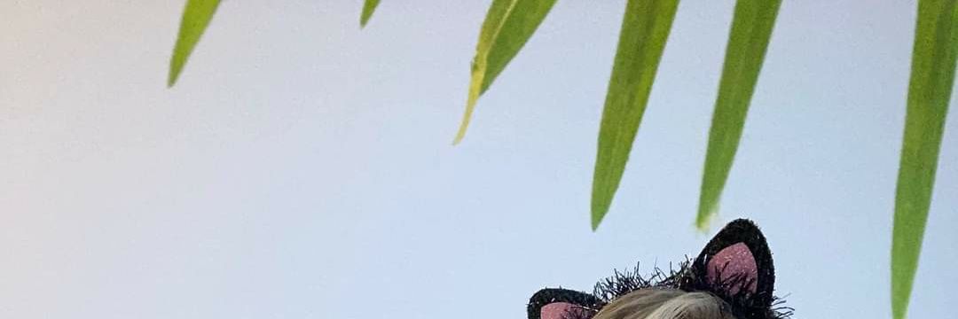 awyracing's profile banner image