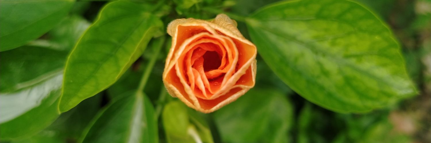 RAJAT_25_'s profile banner image