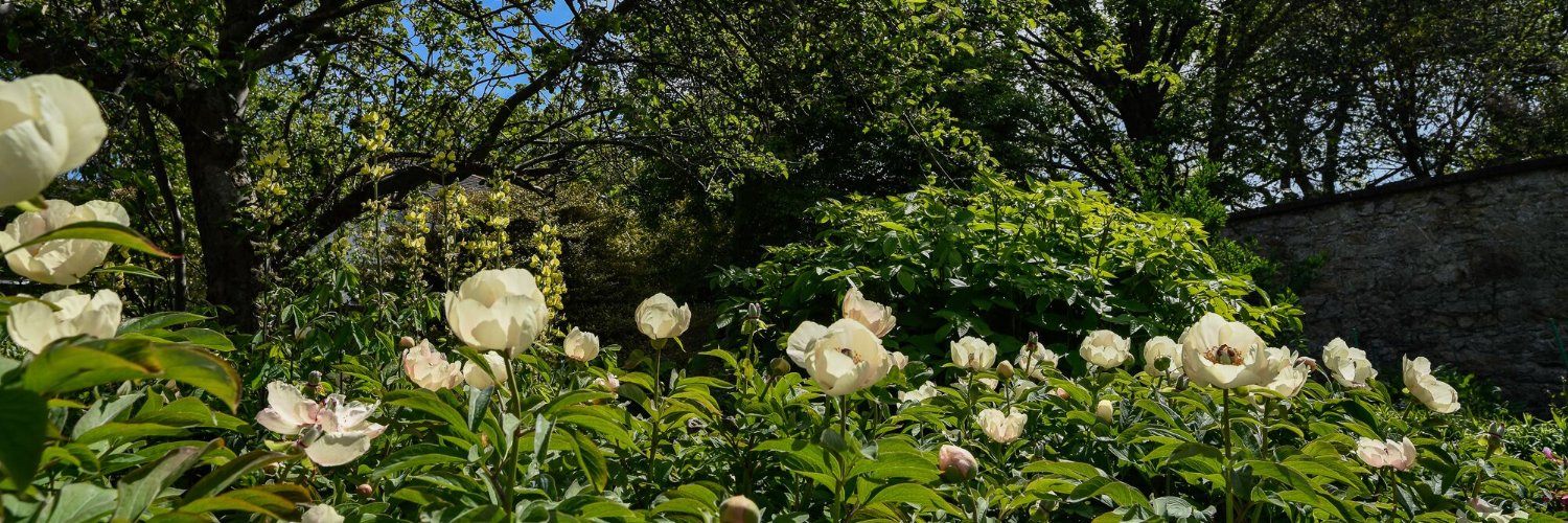 Trinity College Botanic Garden banner