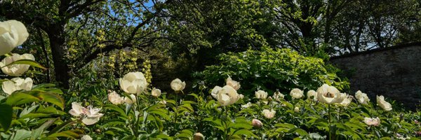 TCBotanicGarden Profile Banner