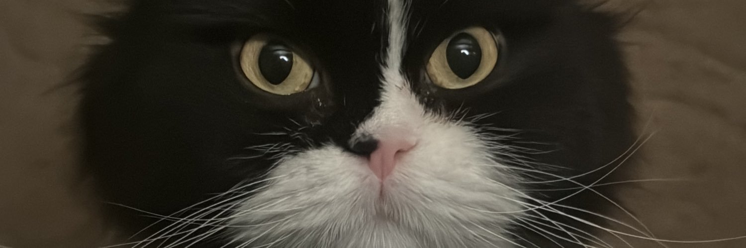 Engineer ⚒ Kemo ♚ banner