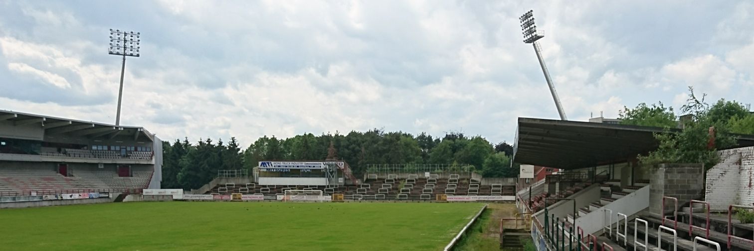 Dutch Non-League Dog banner