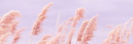 adeliakusumaP's profile banner image