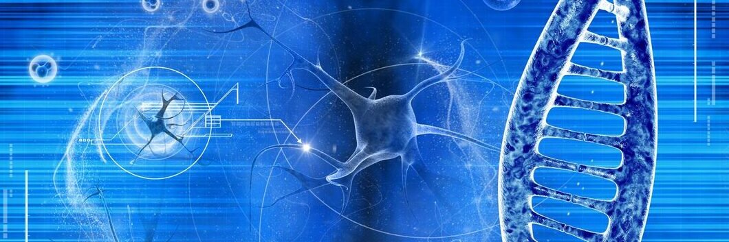 NeuroDetect's profile banner image