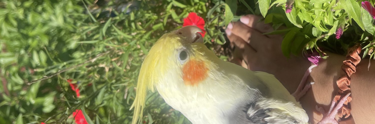 Miss_persaud's profile banner image