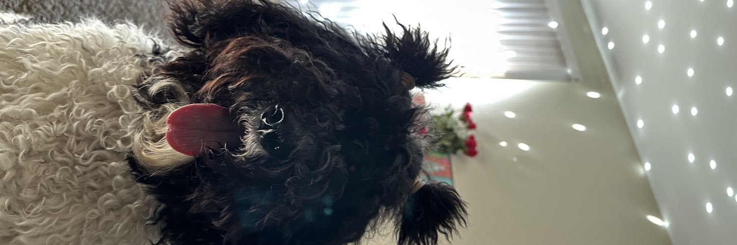 V banner