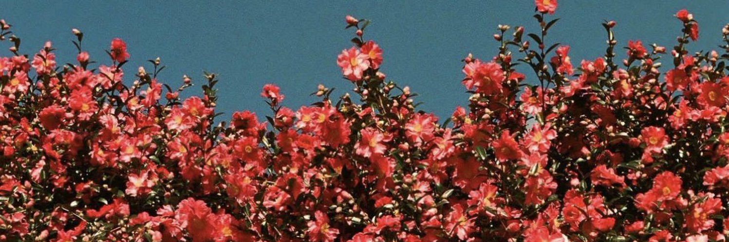 g0ldferr's profile banner image