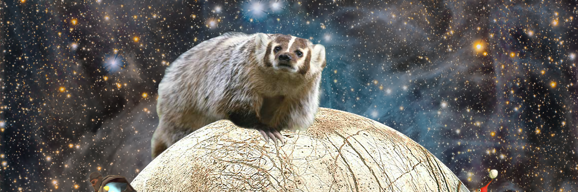 TedPartyclothes's profile banner image