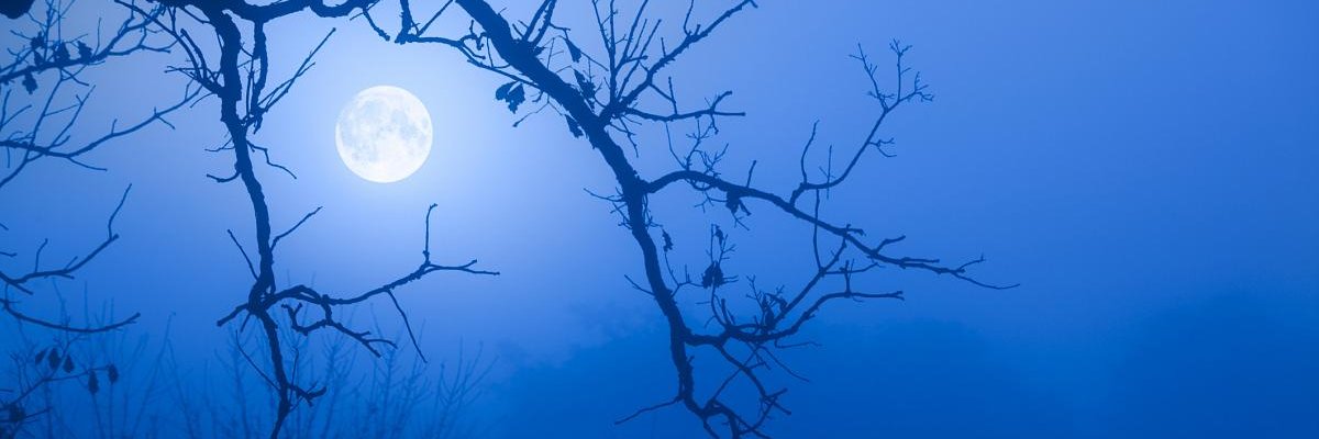 sherry99_'s profile banner image