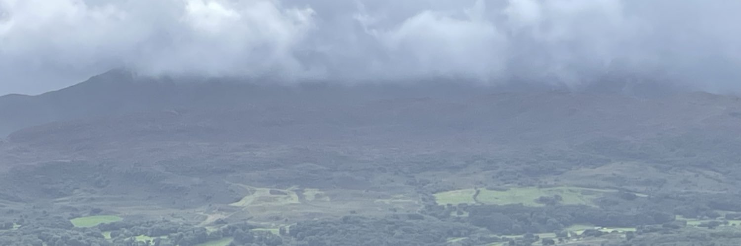 Mike banner