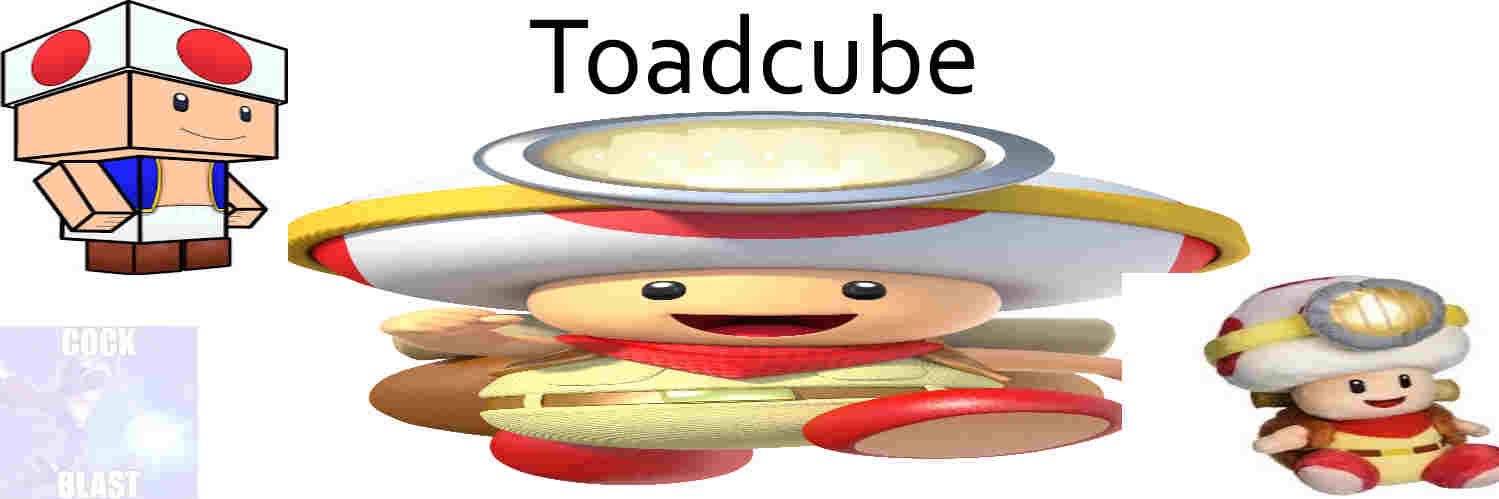 Toadcube64's profile banner image