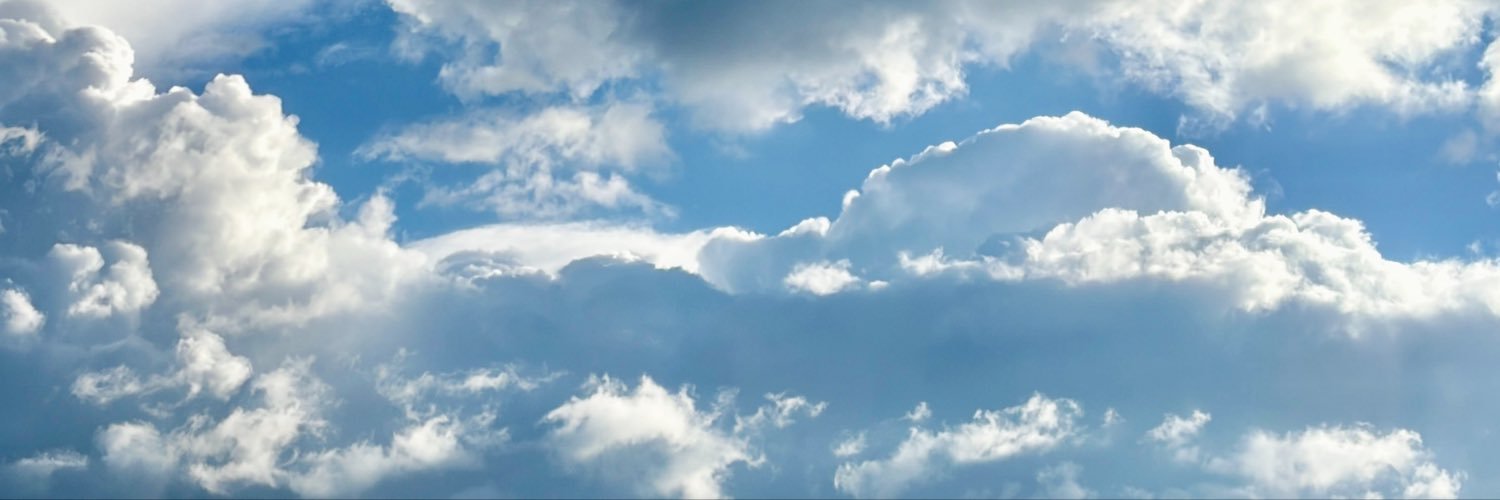 maleospinav's profile banner image