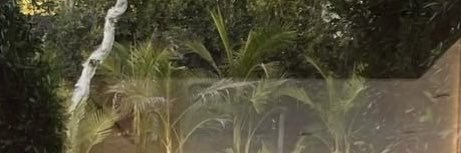 أنجُود banner