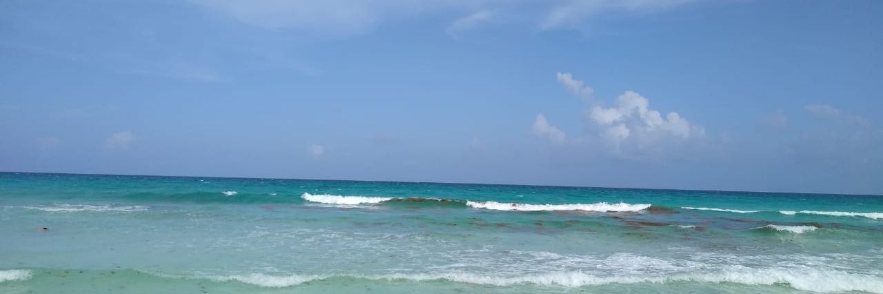 Jessica Torres banner