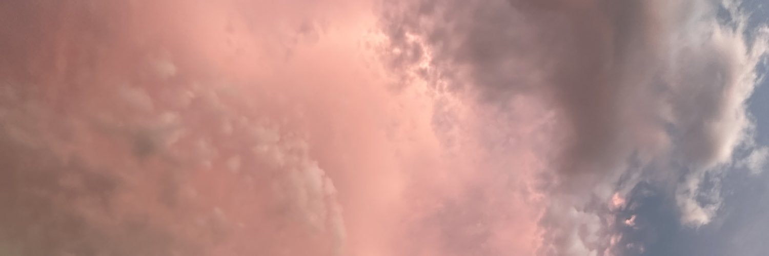 dvzvn 🧬 banner