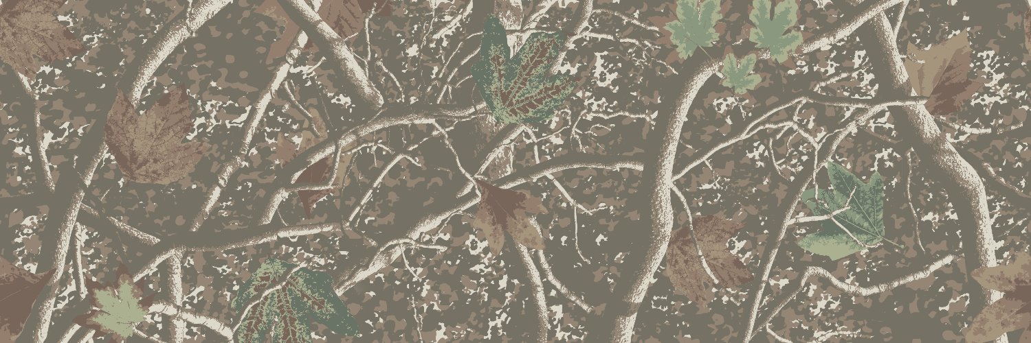 Chapy banner