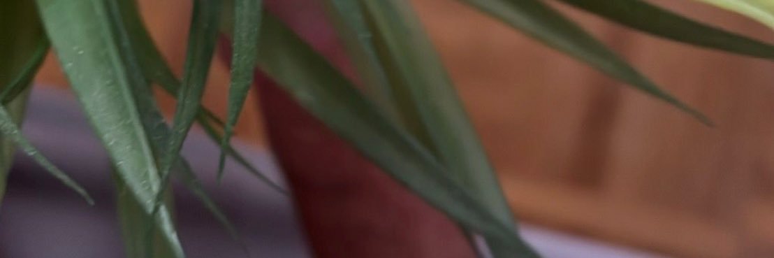Samo8375's profile banner image