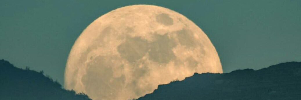 horeeg1's profile banner image