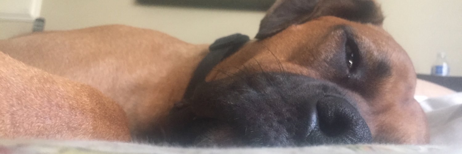_johnnnn_'s profile banner image
