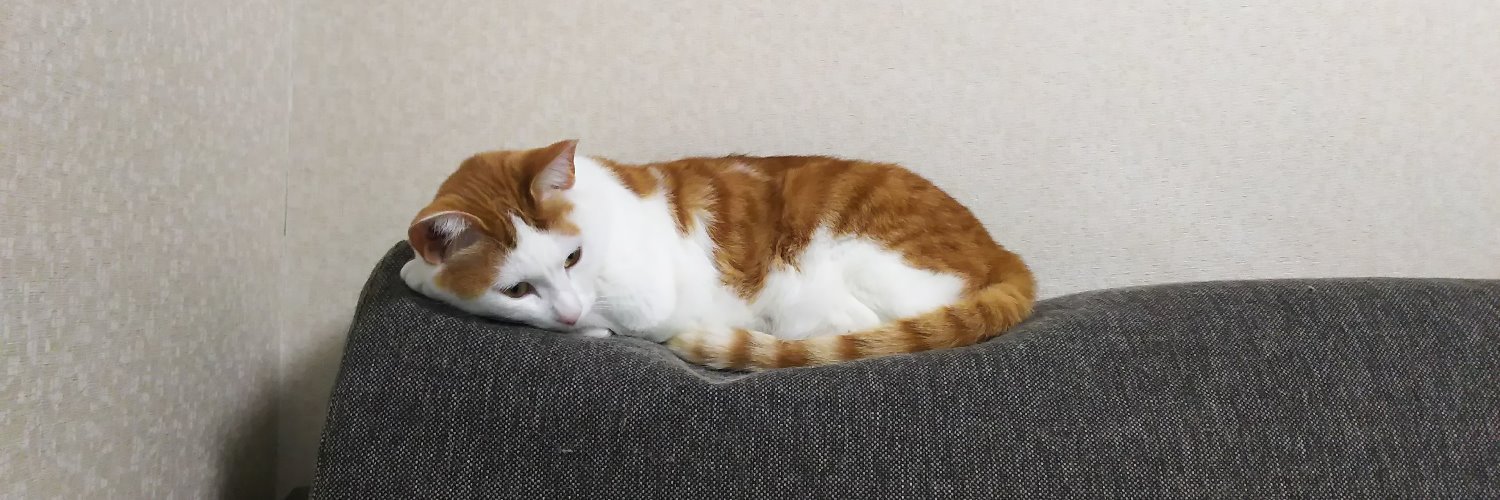 小林洋介＠埼玉解放戦線 banner