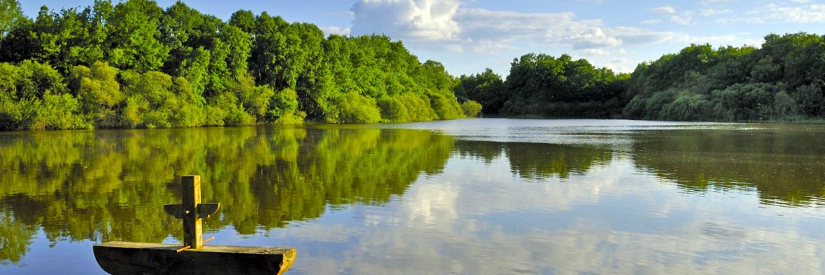 Nicolas Neiman banner