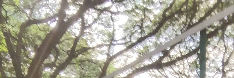 vikasrobert's profile banner image