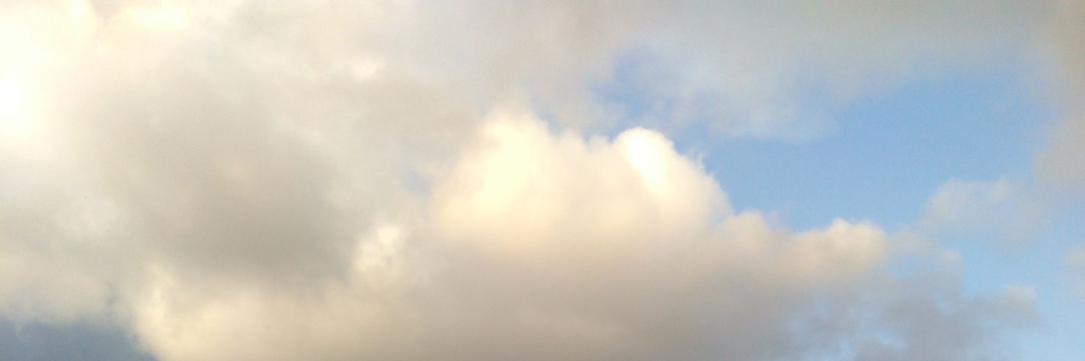 Manumisme's profile banner image