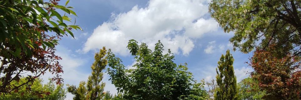 feriibusra's profile banner image