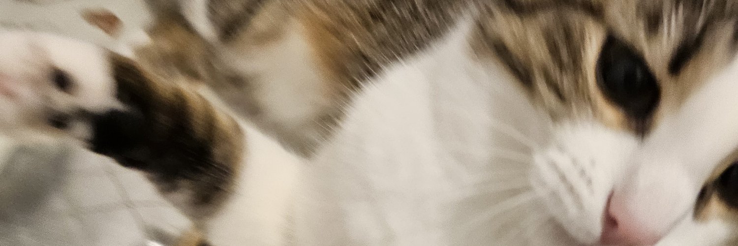 ledustea's profile banner image