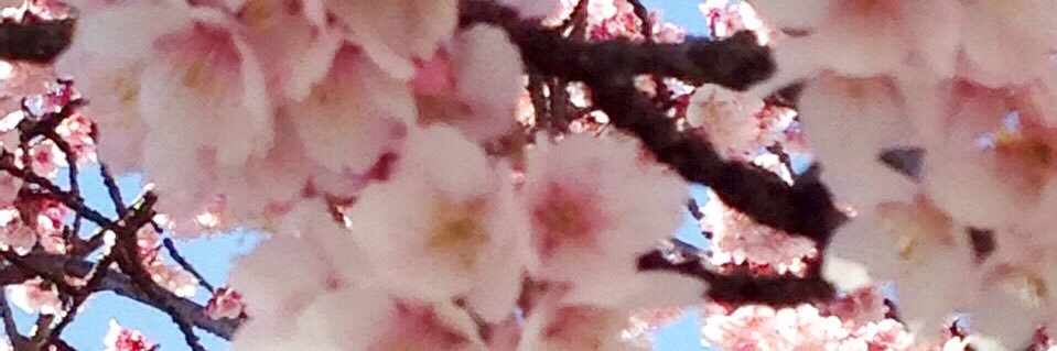 _mitimitiiii's profile banner image