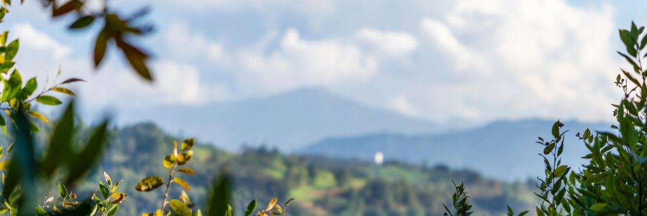 DreamlikeScenes's profile banner image