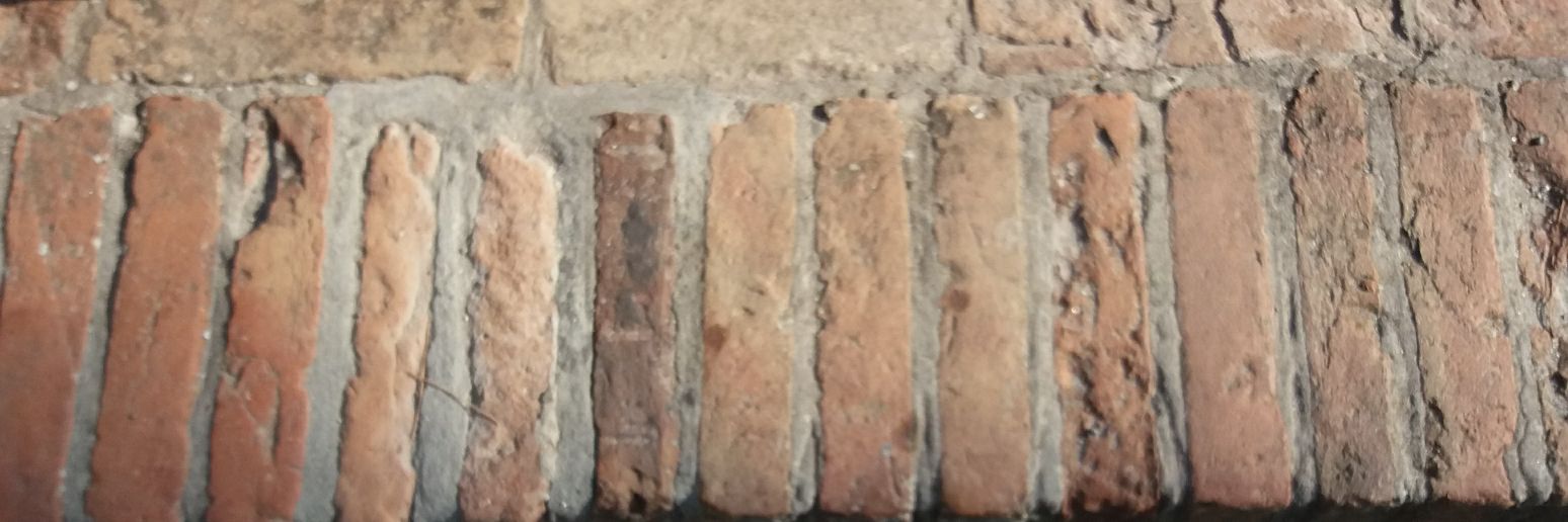 beamarini's profile banner image