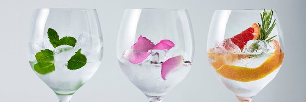 EalingGin Profile Banner