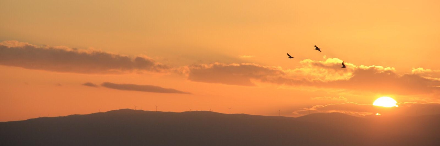 EvrenselTürk banner