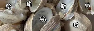booblue 竹嵐 banner