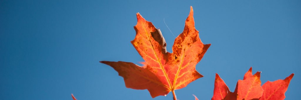 WelcomeHomeTO banner