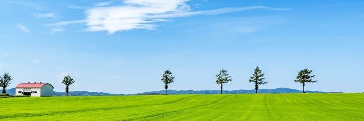 eroseka_69's profile banner image