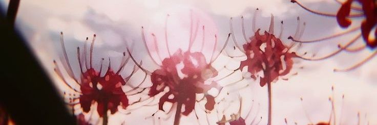 getahyuck's profile banner image