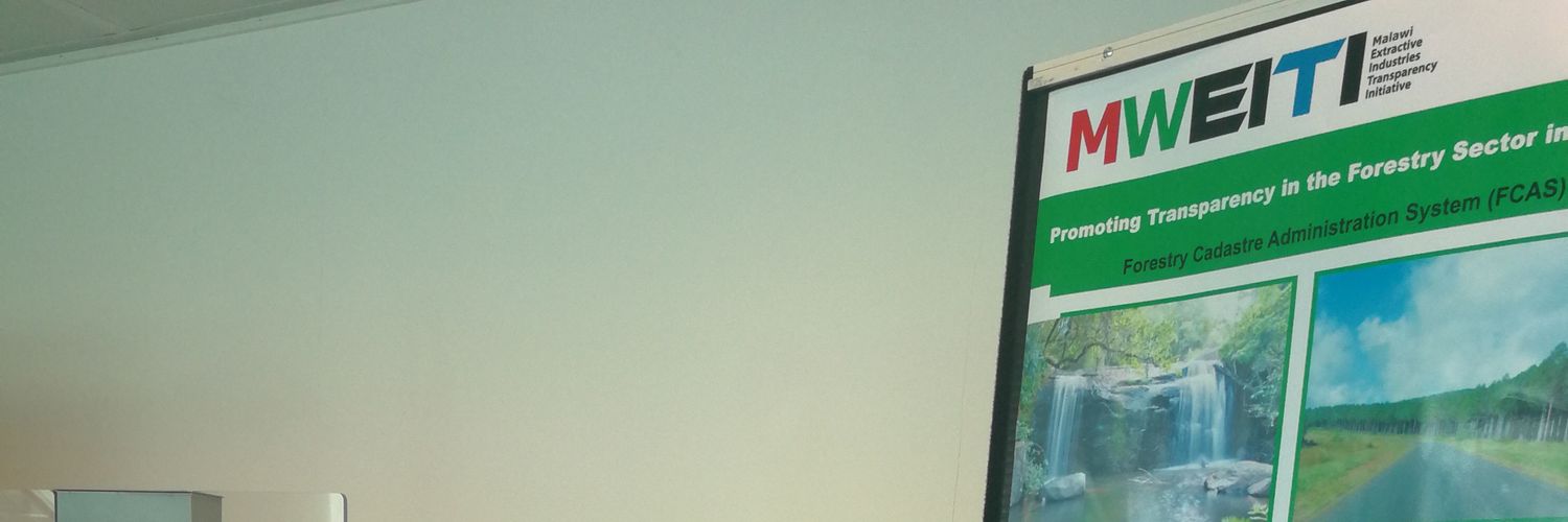 Elyvin's profile banner image