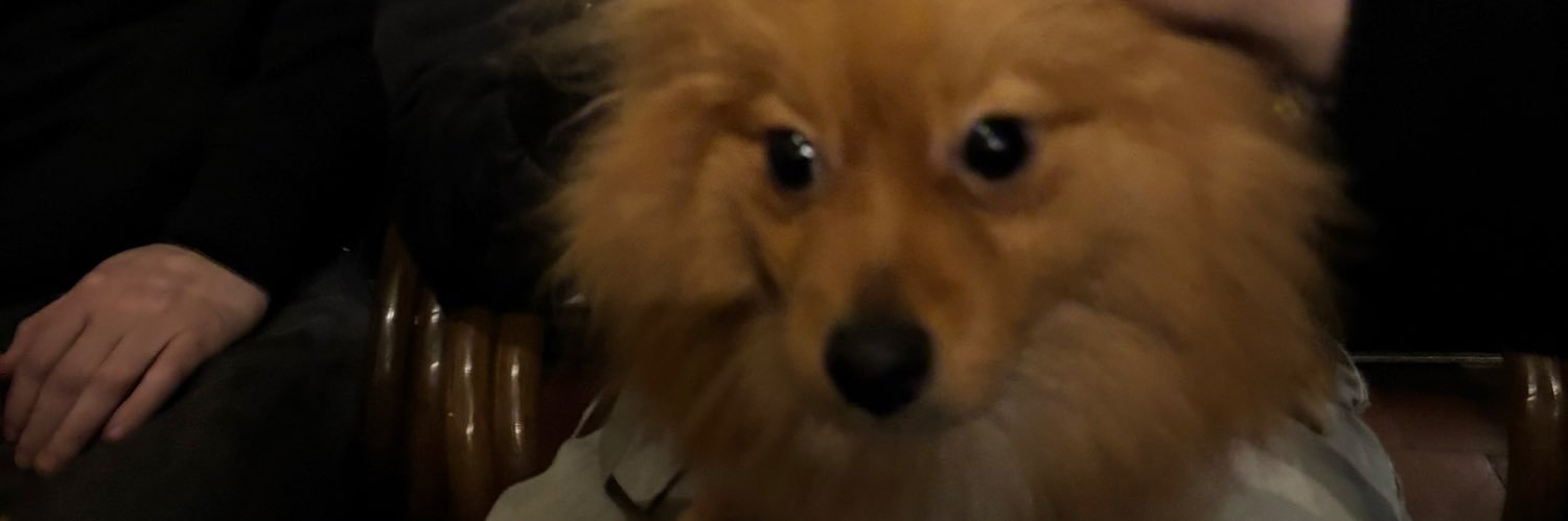 nonow banner