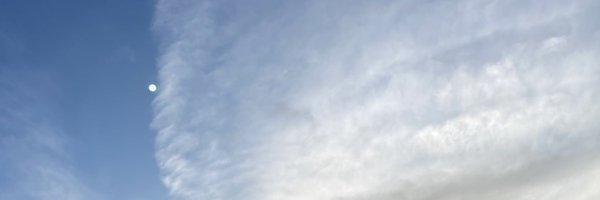 fleyrav Profile Banner